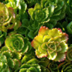 Meet your Posher, Alaina